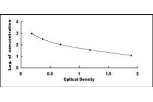 ELISA image for Angiotensin 1-9 (Ang1-9) ELISA Kit (ABIN4947354)