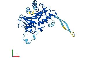 AlphaFold protein structure predicition of Mouse Recombinant Rsph9 Protein, UniprotID Q9D9V4