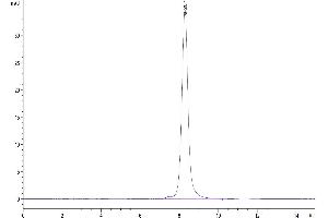 The purity of Human CD3E&CD3D was greater than 95 % as determined by SEC-HPLC.