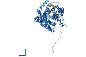 AlphaFold protein structure predicition of Mouse Recombinant Slc33a1 Protein, UniprotID Q99J27