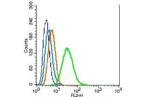 RSC96 probed with Caspase 9 Polyclonal Antibody, Unconjugated  at 1:100 for 30 minutes followed by incubation with a conjugated secondary (PE Conjugated) (green) for 30 minutes compared to control cells (blue), secondary only (light blue) and isotype control (orange).