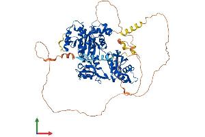 AlphaFold protein structure predicition of Mouse Recombinant Polh Protein, UniprotID Q9JJN0