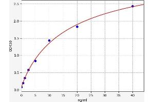 Typical standard curve (EPH Receptor B2 Kit ELISA)