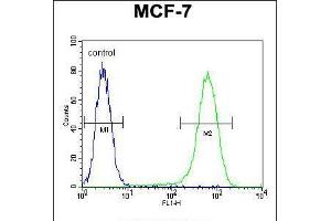 Flow cytometric analysis of MCF-7 cells (right histogram) compared to a negative control cell (left histogram). (NUDT8 anticorps  (N-Term))