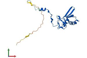 AlphaFold protein structure predicition of Human Recombinant MRPL49 Protein, UniprotID Q13405