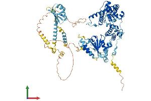 AlphaFold protein structure predicition of Mouse Recombinant Afg3l2 Protein, UniprotID Q8JZQ2