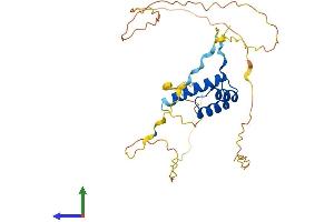 AlphaFold protein structure predicition of Human Recombinant DLX3 Protein, UniprotID O60479