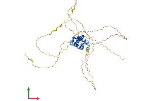 AlphaFold protein structure predicition of Mouse Recombinant Ciart Protein, UniprotID Q3TQ03 (CIART (AA 1-375) protein (His tag))