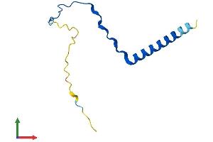 AlphaFold protein structure predicition of Human Recombinant BBIP1 Protein, UniprotID A8MTZ0