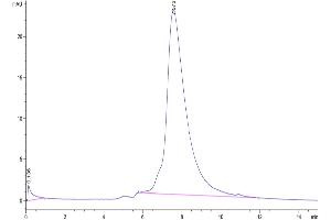 The purity of Biotinylated Human/Cynomolgus/Rhesus macaque CD28 is greater than 95 % as determined by SEC-HPLC.