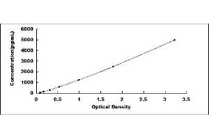 Late Cornified Envelope 1A (LCE1A) ELISA Kit