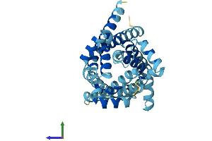AlphaFold protein structure predicition of Human Recombinant SLC25A15 Protein, UniprotID Q9Y619