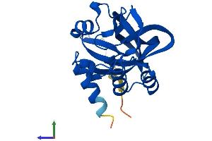 AlphaFold protein structure predicition of Human Recombinant GGCT Protein, UniprotID O75223