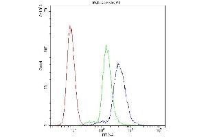 Flow Cytometry analysis of K562 cells using anti-PPIA antibody (ABIN5518864). (PPIA anticorps  (AA 116-165))