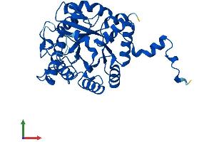 AlphaFold protein structure predicition of Mouse Recombinant Alad Protein, UniprotID P10518