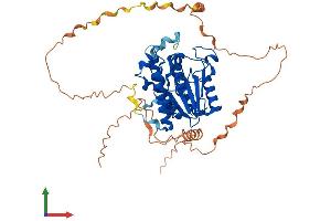 AlphaFold protein structure predicition of Human Recombinant PCED1A Protein, UniprotID Q9H1Q7