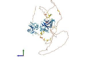 AlphaFold protein structure predicition of Human Recombinant SHC1 Protein, UniprotID P29353