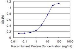 Detection limit for recombinant GST tagged SMO is 0. (SMO anticorps  (AA 653-787))