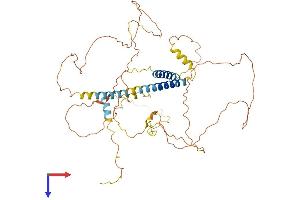 AlphaFold protein structure predicition of Human Recombinant TMEM200A Protein, UniprotID Q86VY9