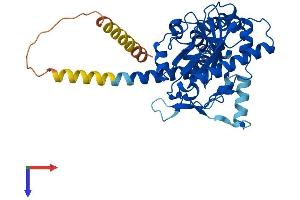 AlphaFold protein structure predicition of Human Recombinant DGAT2 Protein, UniprotID Q96PD7