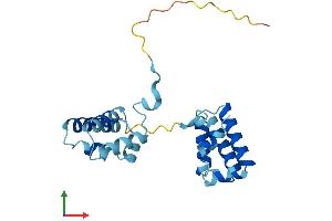 AlphaFold protein structure predicition of Mouse Recombinant Tceanc2 Protein, UniprotID Q8R2M0
