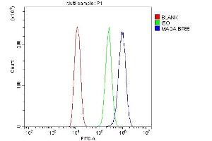 Flow Cytometry analysis of U20S cells using anti-MAOA antibody (ABIN3043872). (Monoamine Oxidase A anticorps  (C-Term))