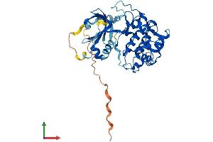 AlphaFold protein structure predicition of Mouse Recombinant Sgk2 Protein, UniprotID Q9QZS5