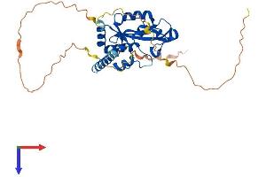 AlphaFold protein structure predicition of Mouse Recombinant Aen Protein, UniprotID Q9CZI9