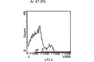 Image no. 1 for anti-CD3 (CD3) antibody (ABIN114137)