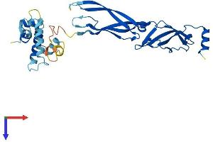 AlphaFold protein structure predicition of Mouse Recombinant Dnajb13 Protein, UniprotID Q80Y75