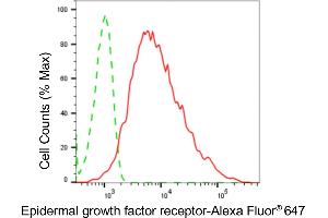 Flow cytometric analysis of epidermal growth factor receptor expression in HepG2 cells using epidermal growth factor receptor antibody (ABIN7798478), 1:2,000).