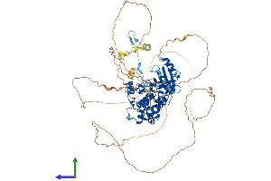 AlphaFold protein structure predicition of Human Recombinant PAK5 Protein, UniprotID Q9P286