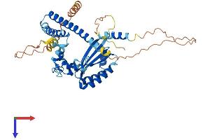 AlphaFold protein structure predicition of Human Recombinant NECAB2 Protein, UniprotID Q7Z6G3