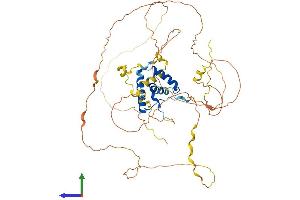 AlphaFold protein structure predicition of Mouse Recombinant Sox9 Protein, UniprotID Q04887