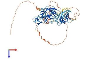 AlphaFold protein structure predicition of Human Recombinant NEURL1B Protein, UniprotID A8MQ27
