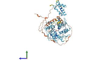 AlphaFold protein structure predicition of Human Recombinant ZNF181 Protein, UniprotID Q2M3W8