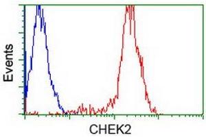 Flow Cytometry (FACS) image for anti-Checkpoint Kinase 2 (CHEK2) antibody (ABIN1497497)
