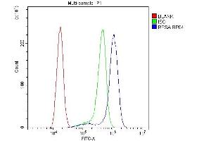 Flow Cytometry analysis of A431 cells using anti-RPSA antibody (ABIN4886715). (RPSA/Laminin Receptor anticorps  (AA 2-138))
