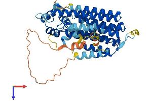 AlphaFold protein structure predicition of Human Recombinant PDSS2 Protein, UniprotID Q86YH6