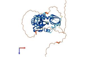 AlphaFold protein structure predicition of Human Recombinant TDRD10 Protein, UniprotID Q5VZ19