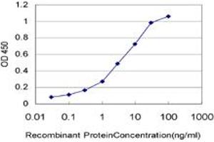 Detection limit for recombinant GST tagged HIC1 is approximately 0. (HIC1 anticorps  (AA 396-453))