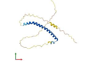AlphaFold protein structure predicition of Human Recombinant NAP1L5 Protein, UniprotID Q96NT1