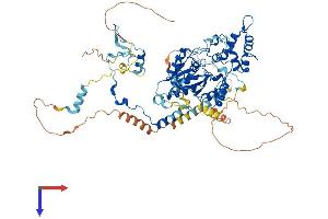 AlphaFold protein structure predicition of Mouse Recombinant Gnl2 Protein, UniprotID Q99LH1