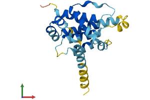 AlphaFold protein structure predicition of Mouse Recombinant Bcl2l10 Protein, UniprotID Q9Z0F3