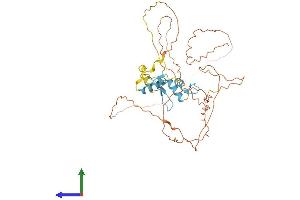 AlphaFold protein structure predicition of Human Recombinant SP7 Protein, UniprotID Q8TDD2