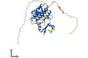 AlphaFold protein structure predicition of Human Recombinant TRIB3 Protein, UniprotID Q96RU7