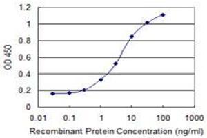 anti-Cystatin A (Stefin A) (CSTA) (AA 1-98) antibody