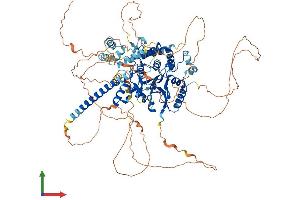 AlphaFold protein structure predicition of Human Recombinant OTUD7A Protein, UniprotID Q8TE49