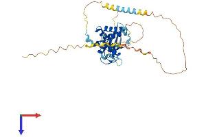 AlphaFold protein structure predicition of Mouse Recombinant Pcgf6 Protein, UniprotID Q99NA9