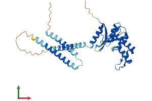 AlphaFold protein structure predicition of Human Recombinant OTUD6B Protein, UniprotID Q8N6M0